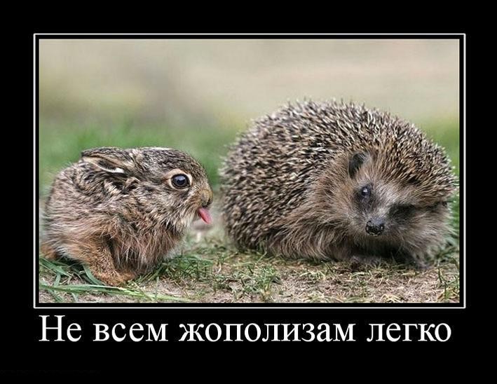 фото жополизов
