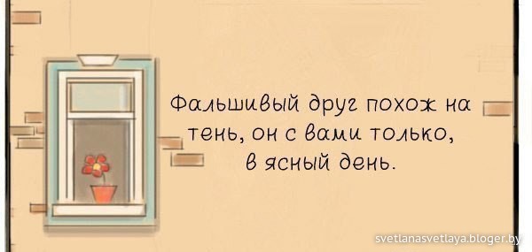 Статус фальшивый друг Статус фальшивый друг