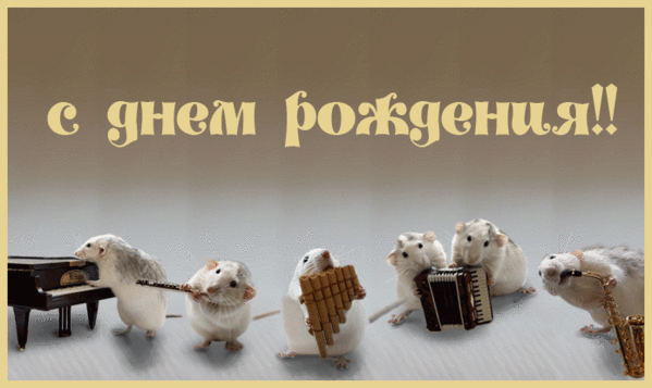с днём рождения хомяк картинки