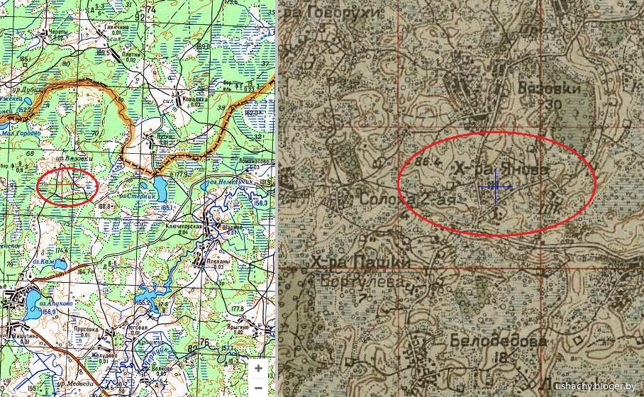 Карта Дисненский Уезд